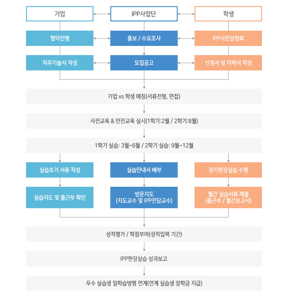 IPP 추진과정